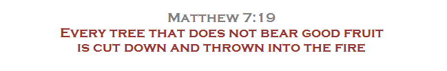 Matthew 7:19